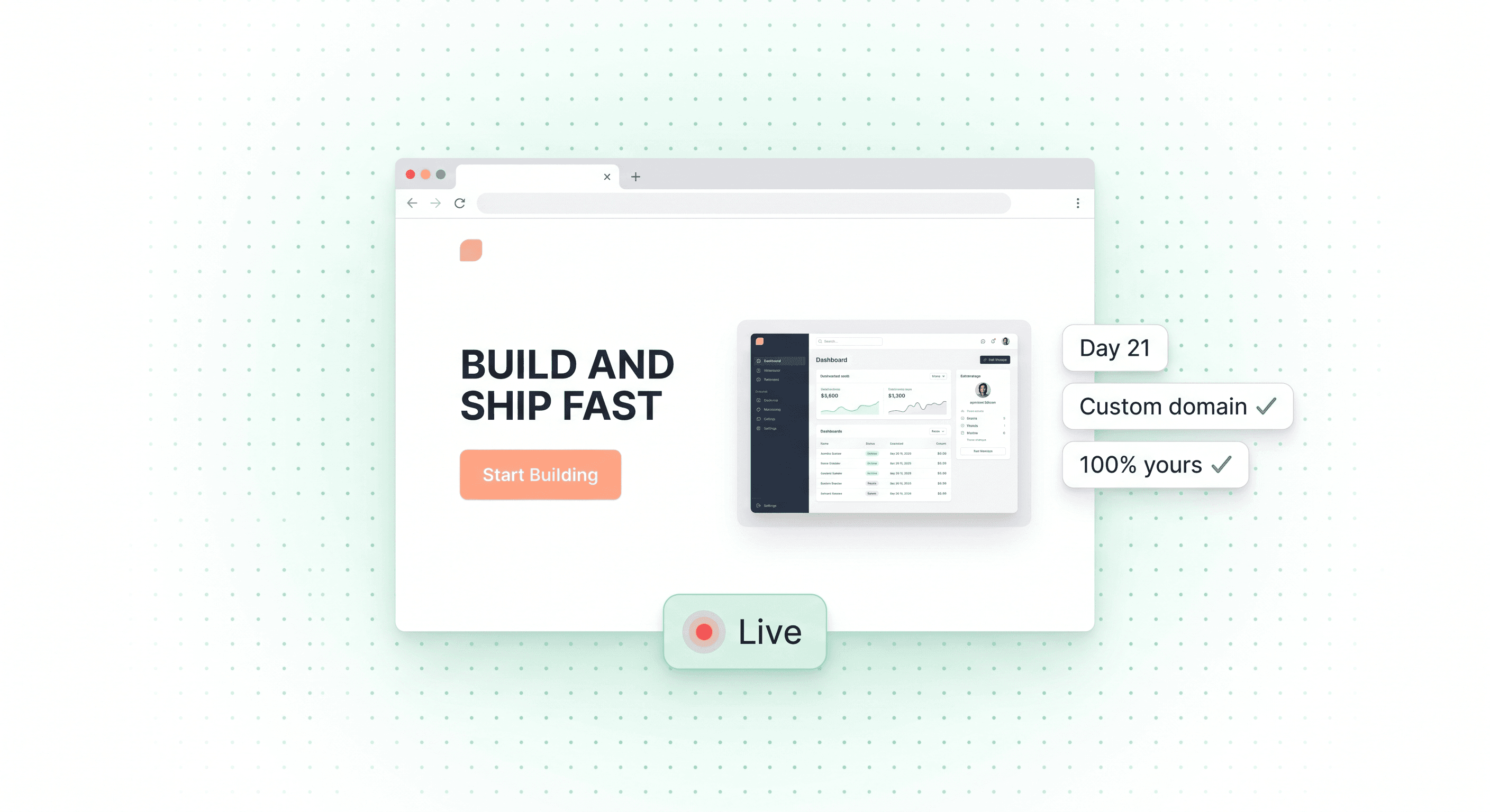 Launch phase — product going live on the web